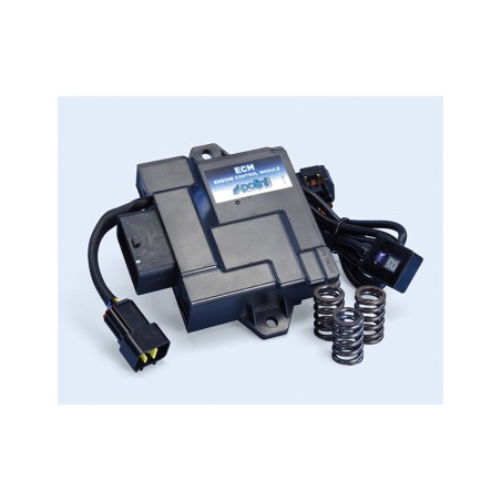 centralka elektroniczna ecm