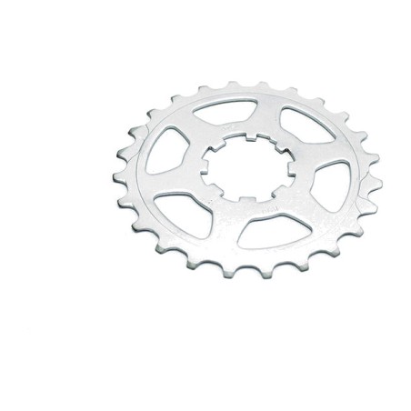 polyvalent cog 11v campagnolo
