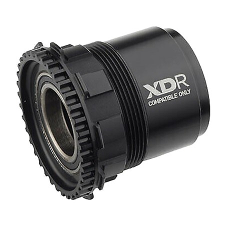testemunho  cognition nsw xdr 11/12v