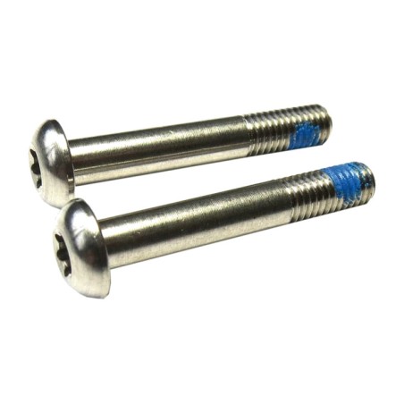 schroeven voor titanium schijfremadapter (2u) t25