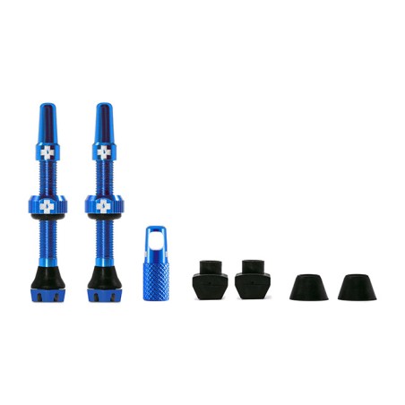 ventilsats v2 tubeless 44 mm