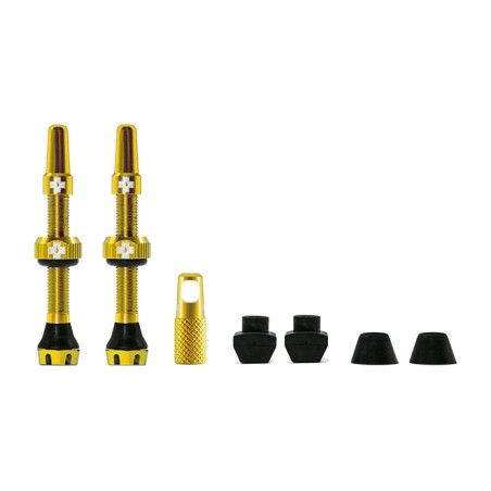kit de vannes v2 tubeless 44 mm