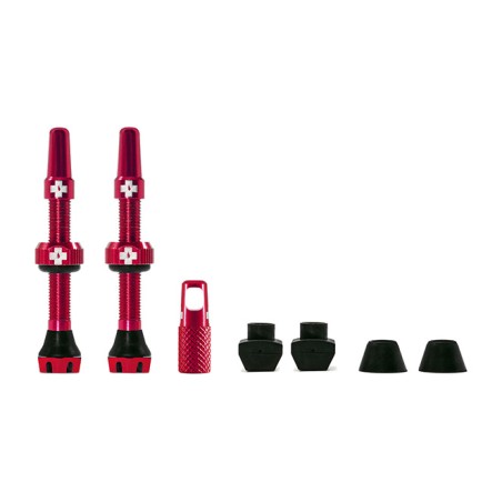 kit valvole v2 tubeless 44 mm