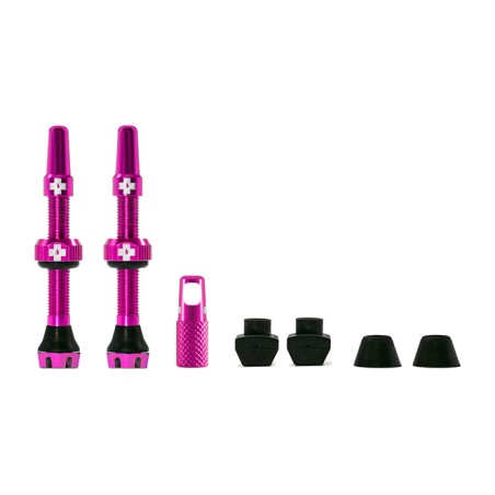 kit de vannes v2 tubeless 44 mm