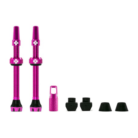 kit de vannes v2 tubeless 60 mm