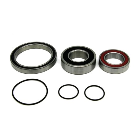 lagerset voor e-bike motor bosch performance line/cx (2u)
