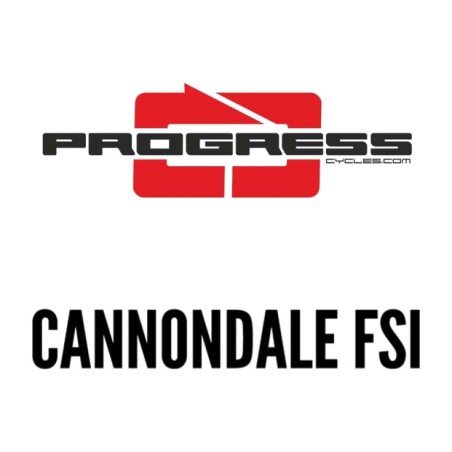 centering (wheel mounted) cannondale fsi