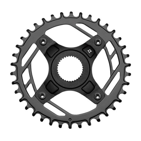 placa de bicicleta e-bike 48t