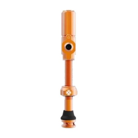 set valve tubeless big bore hybrid
