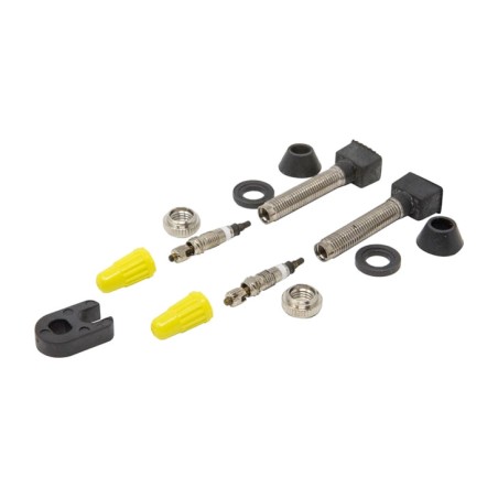 dues vàlvules desmuntables presta per a tubeless