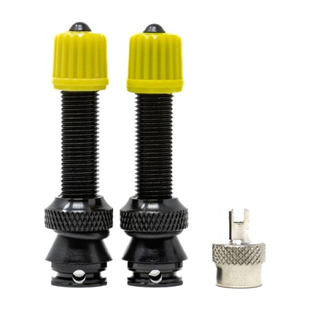 due valvole tubeless in alluminio compatibili con mousse