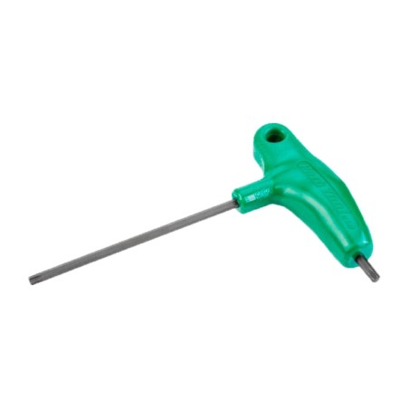 p-shaped torx key t25