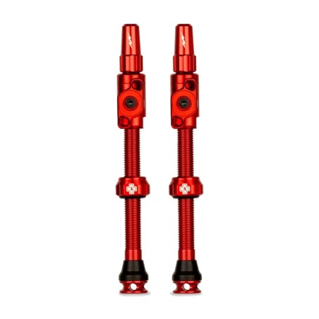 kit de valves tubeless pour jantes big bore lite xl aluminio