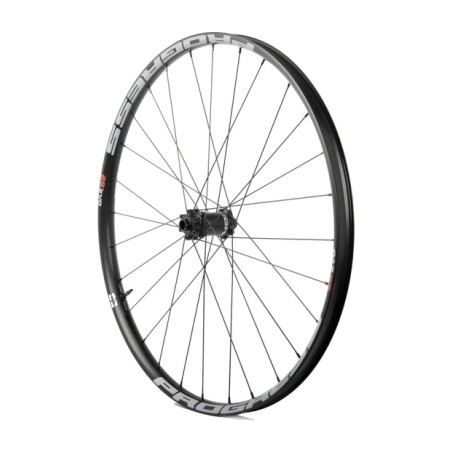 roue avant evo-pro 29 boost 15x110