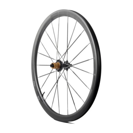 hinterrad orbit 380 campagnolo n3w