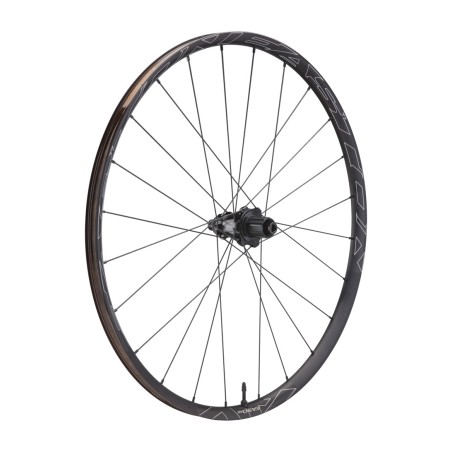 achterwiel ea90 ax 700c