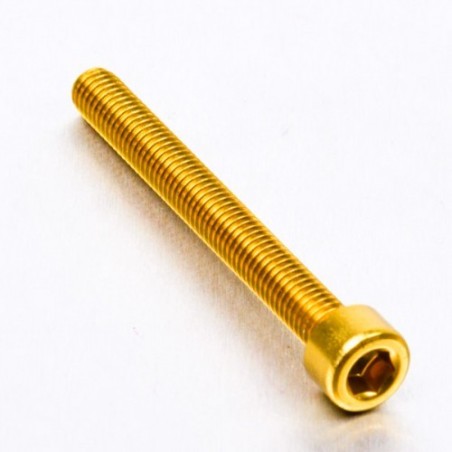vite cilindrica in alluminio testa  m6 x (1.00mm) x 55mm oro lpb655g