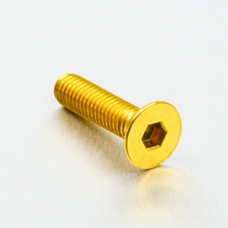 parafuso de alumínio chassado  m6 x (1.00mm) x 25mm oro lcs625g