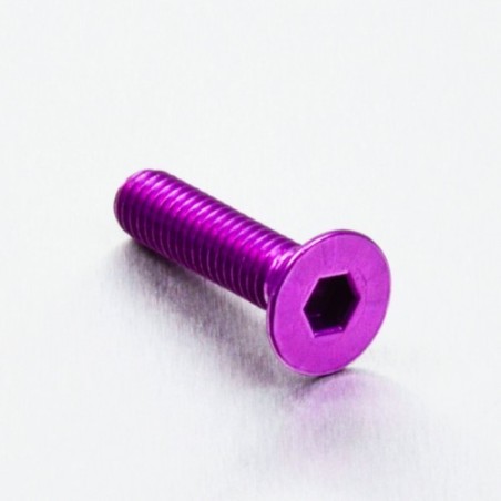 parafuso de alumínio chassado  m6 x (1.00mm) x 25mm violeta lcs625p
