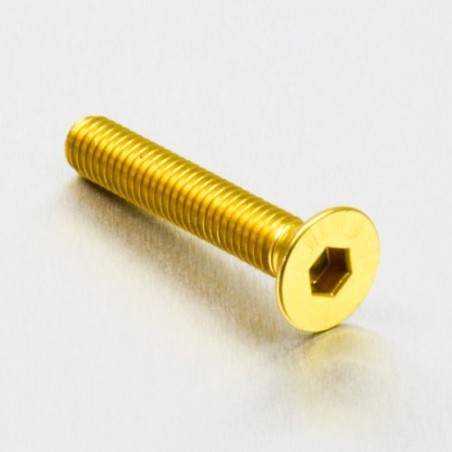 parafuso de alumínio chassado  m6 x (1.00mm) x 35mm oro lcs635g