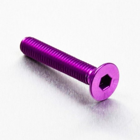 parafuso de alumínio chassado  m6 x (1.00mm) x 35mm violeta lcs635p