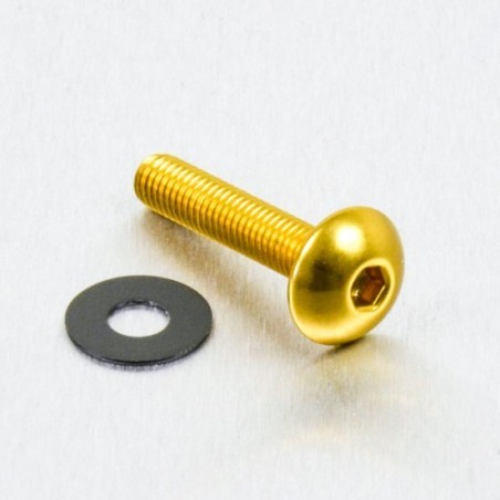 round head aluminum screw  m5 x (0.8mm) x 20mm oro lfb520g