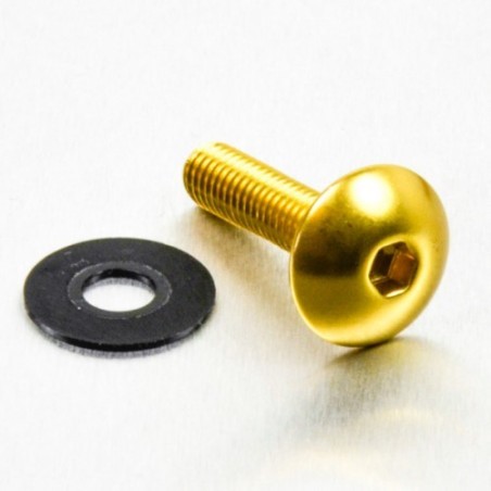 parafuso de alumínio redondo  m6 x (1.00mm) x 25mm oro lfb625g