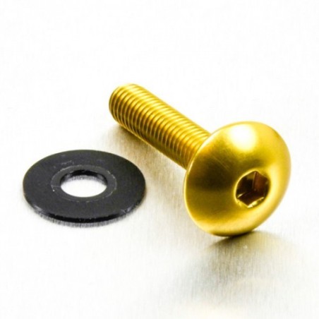 parafuso de alumínio redondo  m6 x (1.00mm) x 30mm oro lfb630g
