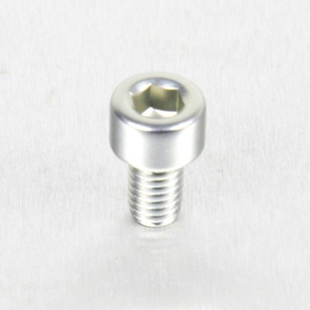 cylindrical head aluminum screw  m5 x (0.8mm) x 8mm plata lpb508s