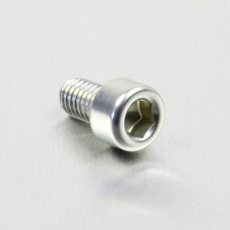parafuso de alumínio de cabeça cilíndrica  m6 x (1.00mm) x 10mm plata lpb61