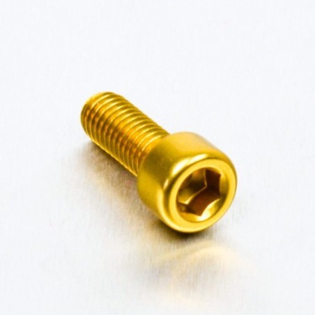 cylindrical head aluminum screw  m6 x (1.00mm) x 16mm oro lpb616g