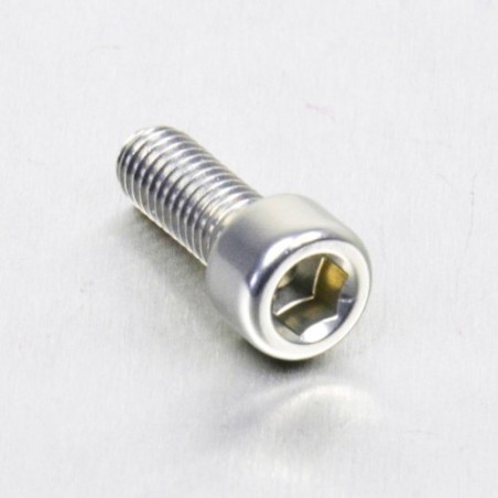 parafuso de alumínio de cabeça cilíndrica  m6 x (1.00mm) x 16mm plata lpb61