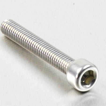 cylindrical head aluminum screw  m6 x (1.00mm) x 40mm plata lpb64