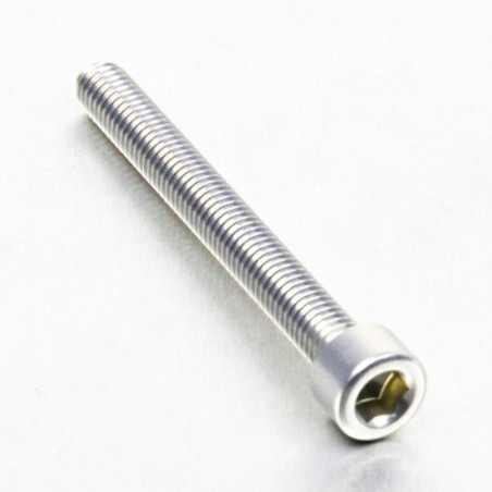 parafuso de alumínio de cabeça cilíndrica  m6 x (1.00mm) x 55mm plata lpb65