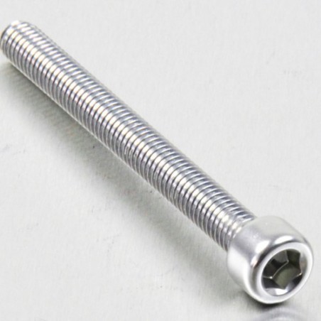 cylindrical head aluminum screw  m6 x (1.00mm) x 60mm plata lpb66