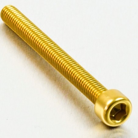 cylindrical head aluminum screw  m6 x (1.00mm) x 65mm oro lpb665g