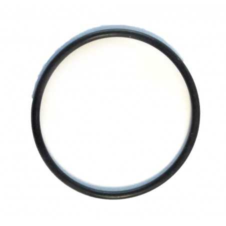 recambio ordenador/control buceo: torica estanqueidad  newton