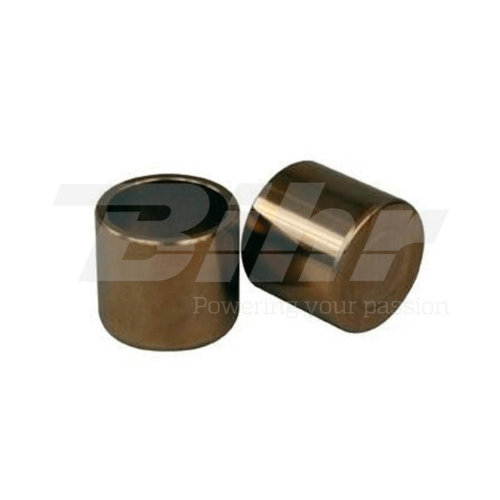 NISSIN Kit de pistones para pinza freno delantero FP002
