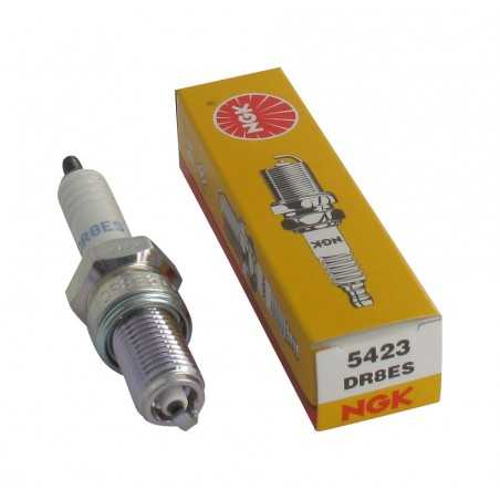 bugia dr8es