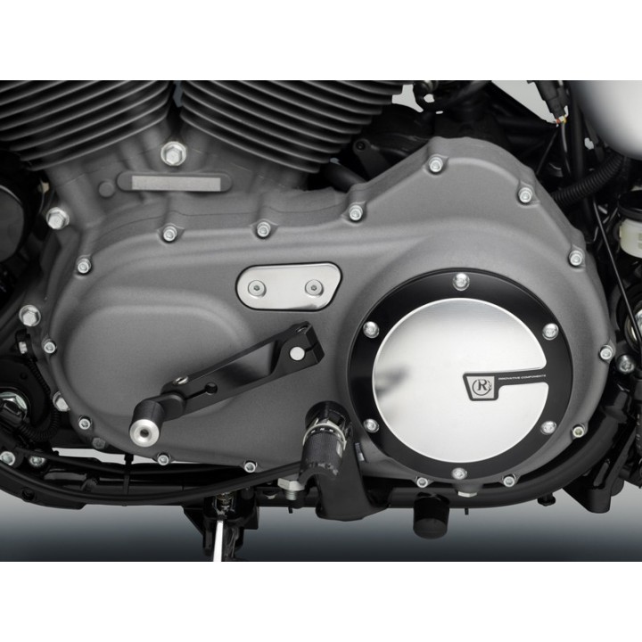 RIZOMA Engine cover protector ZHD068