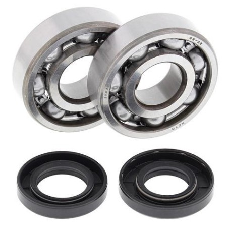 kit, bearings and seals for crankshaft 24-1062