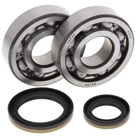 kit, bearings and seals for crankshaft 24-1021
