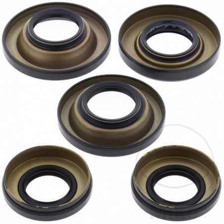 quad front/rear differential bearing repair kit