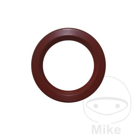 paraolio 52 x 72 x 10 mm