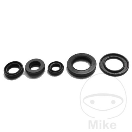 kit de vedação do motor
