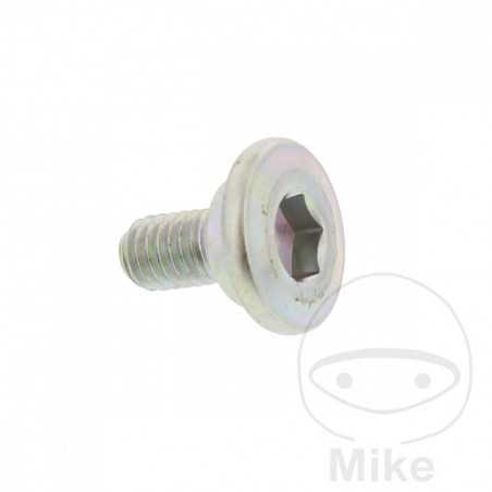 skrue til bremseskive oem m6x1.0x12mm