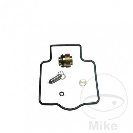 carburetor repair kit eco