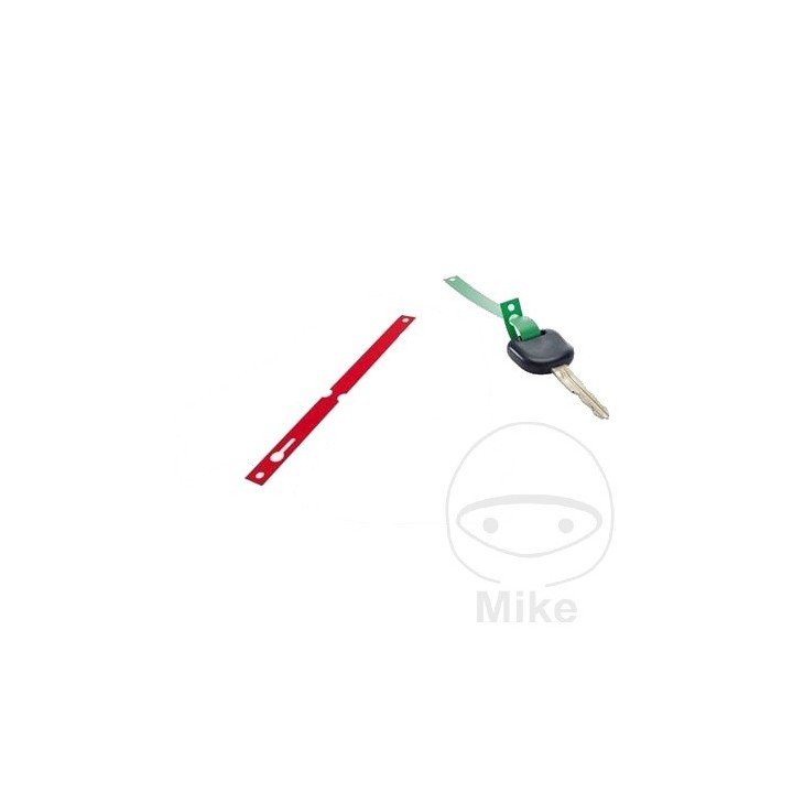 Pack 1000 llaveros de plástico 298.00.05VAR