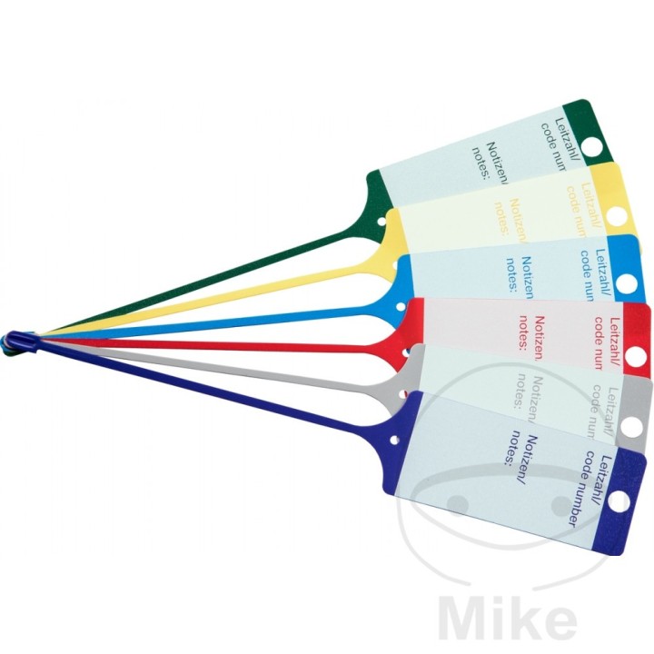 Pack 100 llaveros de plástico 298.00.10VAR
