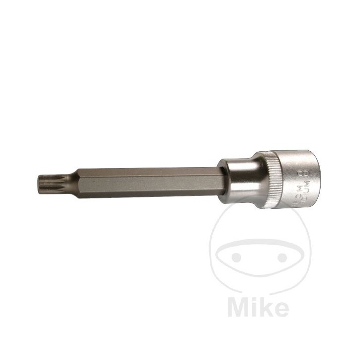 CONDOR Vaso de punta 100 MM MULTIDENT 1/2 M16 605.34.17